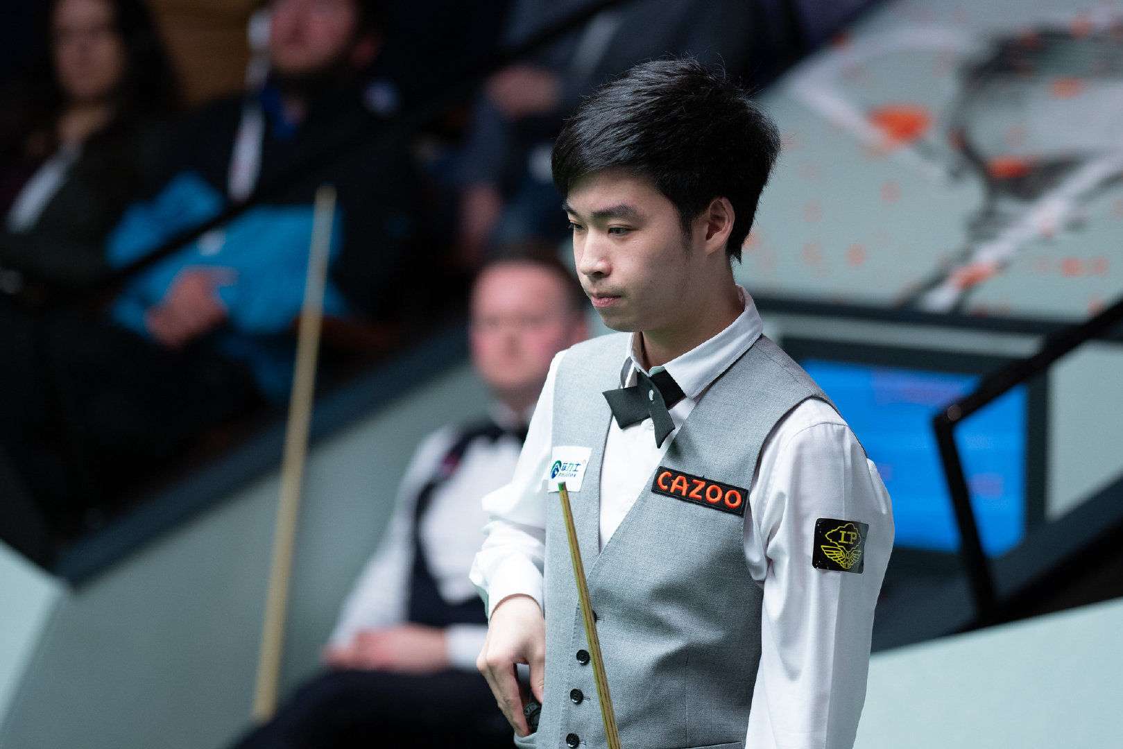 森林狼的比 森林狼的比