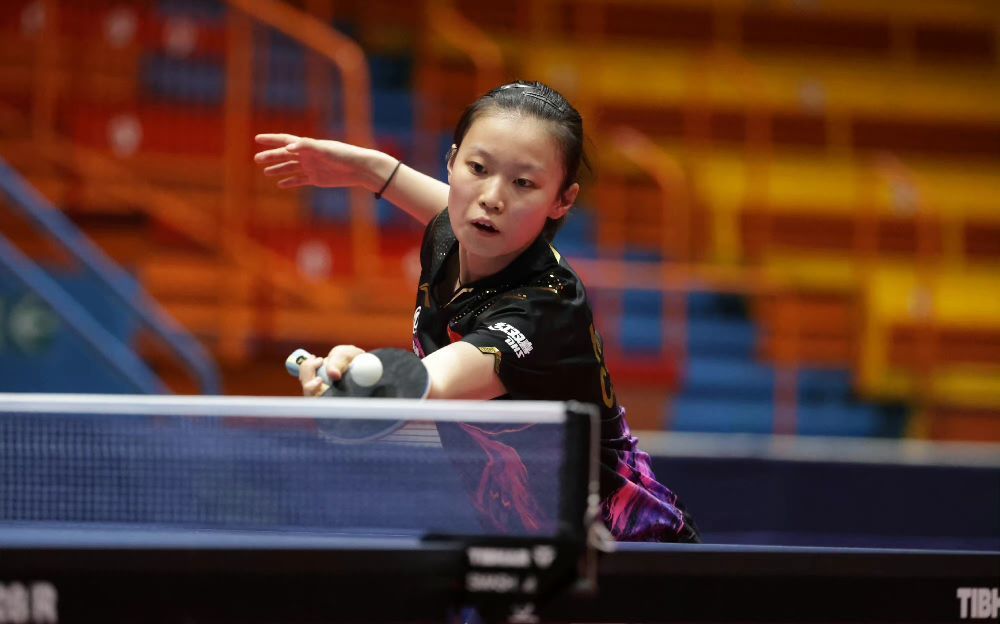 的艰辛努力 的艰辛努力